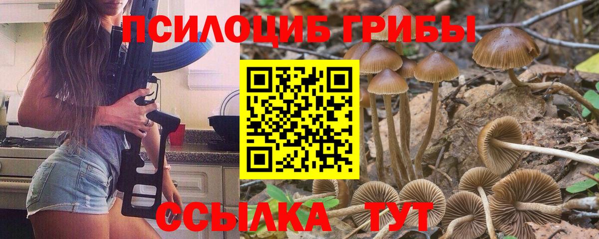 Сорочинск  Галлюциногенные грибы мухоморы  закладки  Вход с VPN 